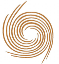sanni.com Logo